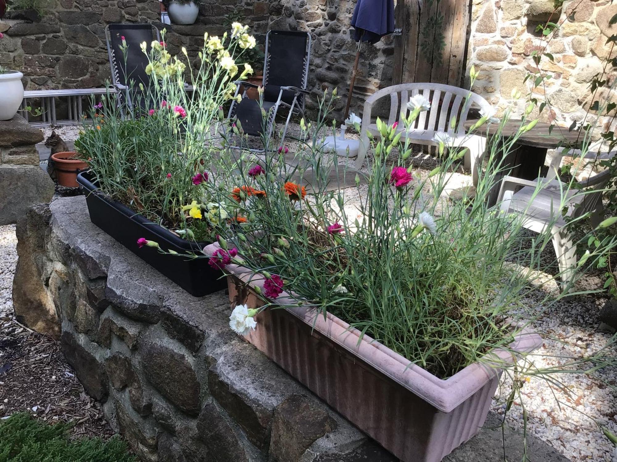 Spacious, Rustic Studio Space For 2 Persons Saint-Cyr-du-Bailleul Bagian luar foto